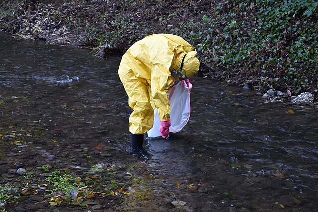 ZEMA Launches K29M Pollution Project