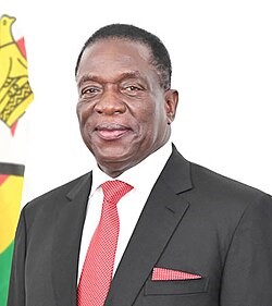 Zanu-PF Leadership Shuffle
