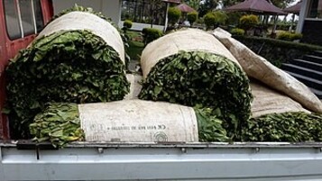 Zimbabwe Lifts 2025 Growth Forecast