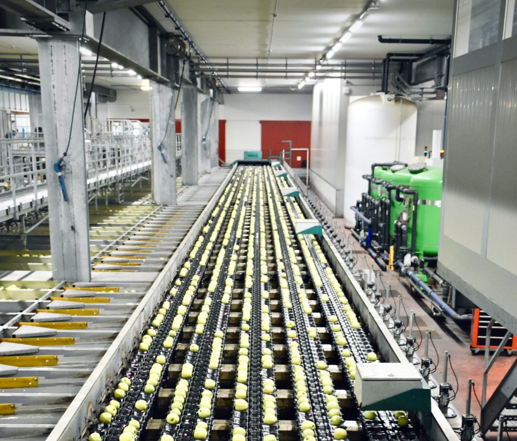 Vipingo SEZ Secures $800M Investment