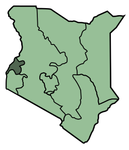 Western Kenya Backs Ruto-Moi Pact