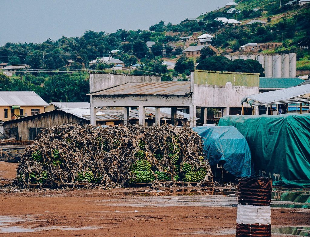 Tanzania Boosts Exports to $16.9B