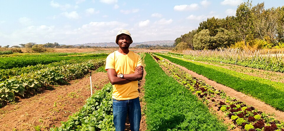 Experts Urge Youth Agribusiness Reforms