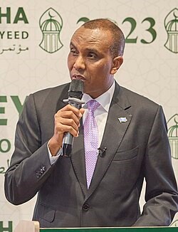 Somalia Pursues Growth Agenda at Aswan