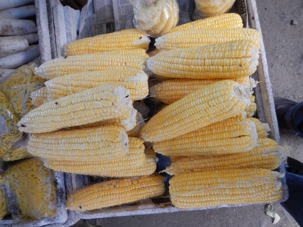 Zambia Denies Maize Deal Fallout
